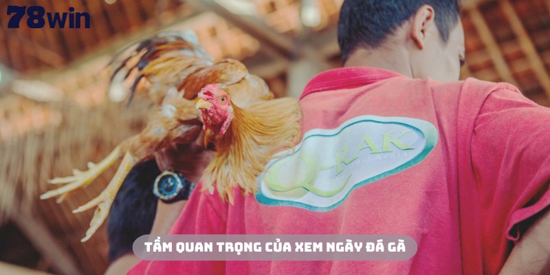 Xem Ngày Đá Gà 78Win - Kinh Nghiệm Chuẩn Xác Từ Chuyên Gia 2 Xem ngày đá gà là một kỹ năng vô cùng cần thiết